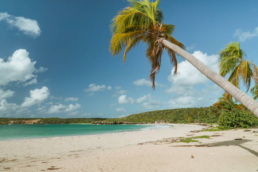 A Travel Guide to Visiting Vieques, Puerto Rico